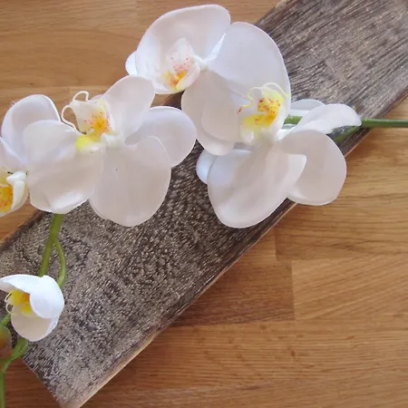 Appartement Orchidee Am Neckar *